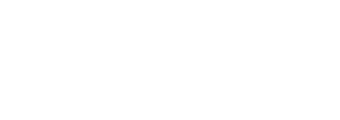 Nibblish logo